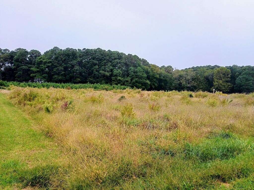 0.33 Acres of Land for Sale in Machipongo, Virginia