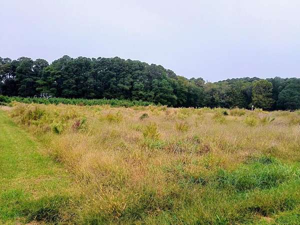 0.33 Acres of Land for Sale in Machipongo, Virginia