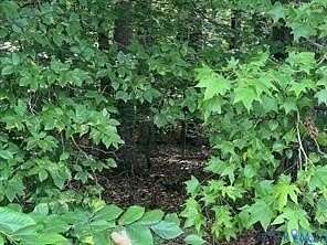 10 Acres of Residential Land for Sale in Beaverdam, Virginia