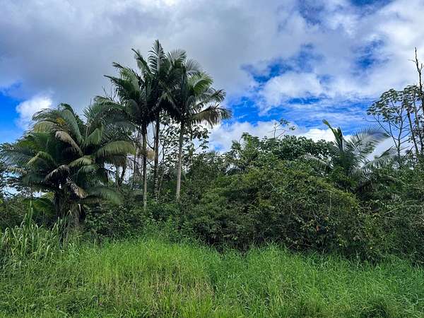1.25 Acres of Residential Land for Sale in Kurtistown, Hawaii