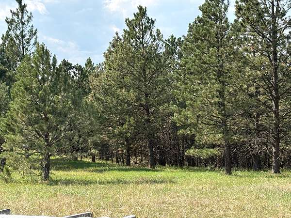 10.1 Acres of Land for Sale in Rapid City, South Dakota