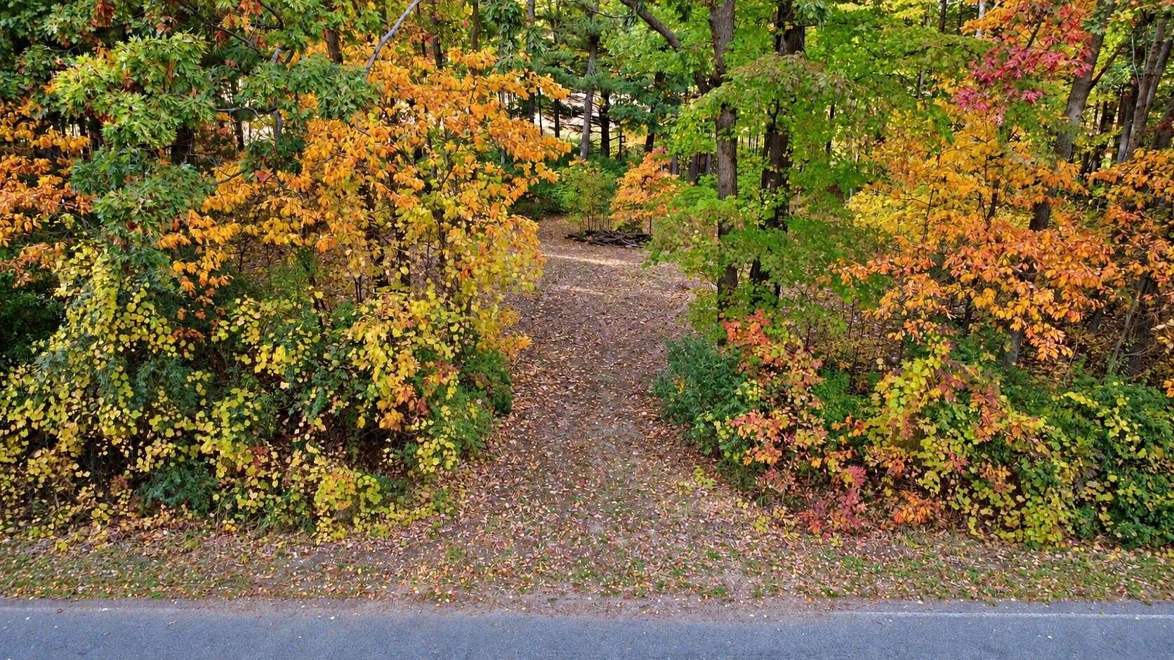 0.52 Acres of Residential Land for Sale in Vestaburg, Michigan