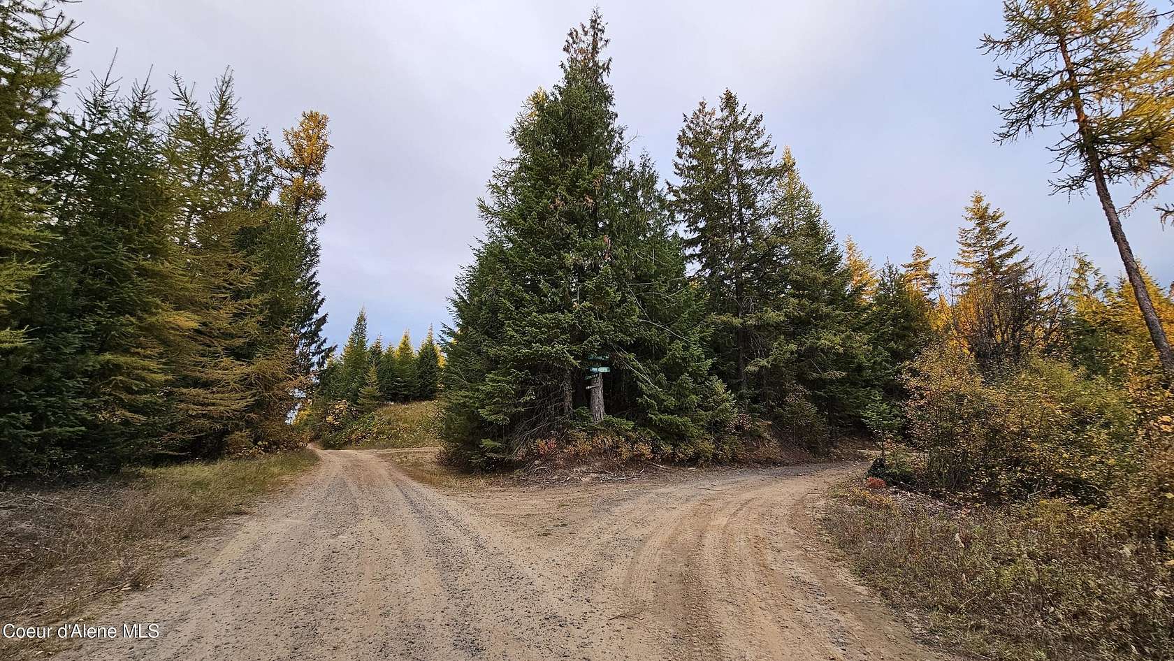 5.6 Acres of Land for Sale in Fernwood, Idaho