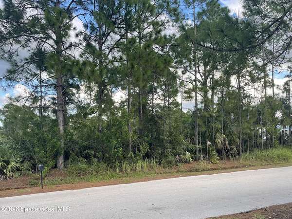 0.23 Acres of Land for Sale in Palm Bay, Florida
