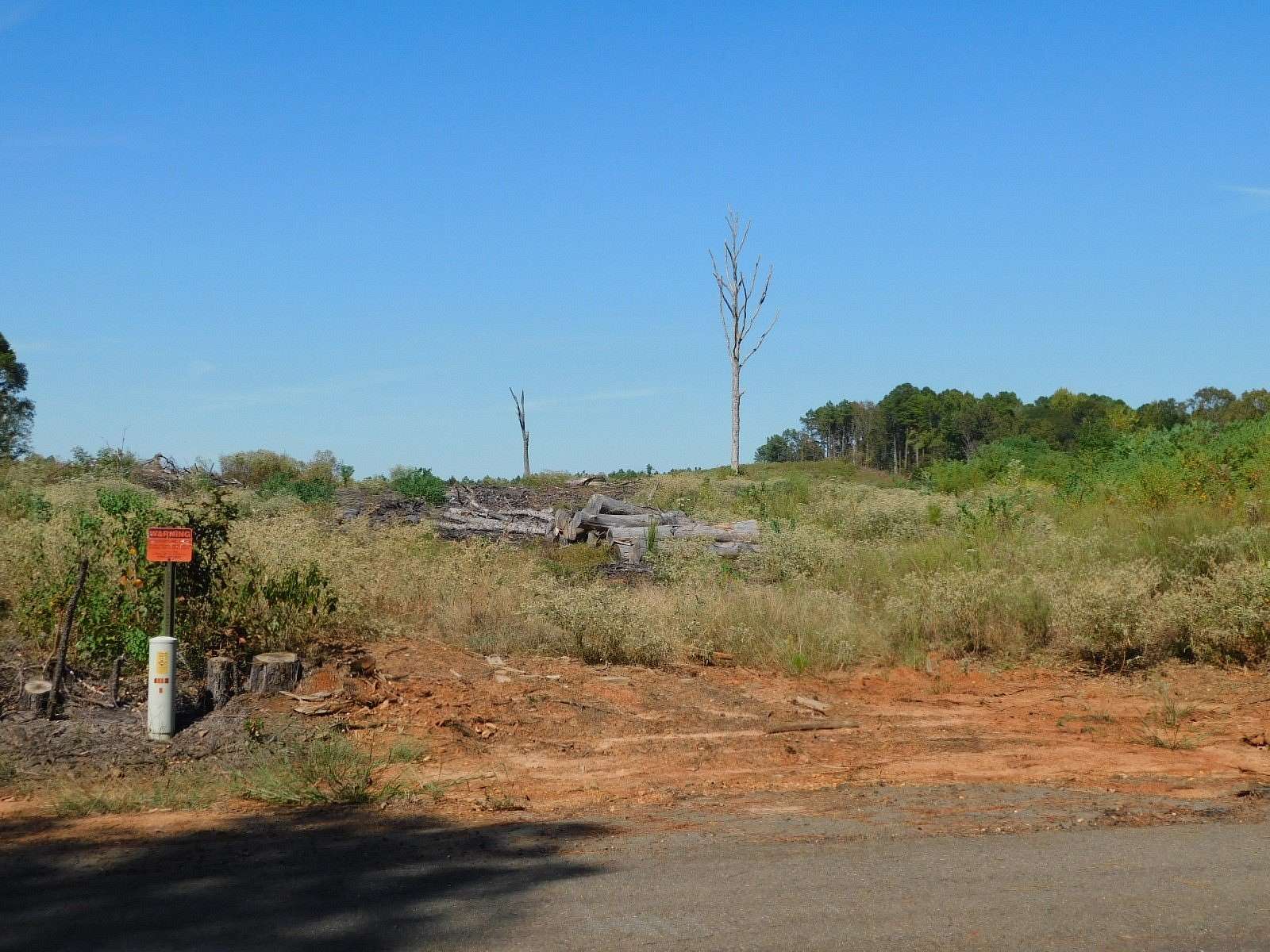 32 Acres of Land for Sale in Plain Dealing, Louisiana