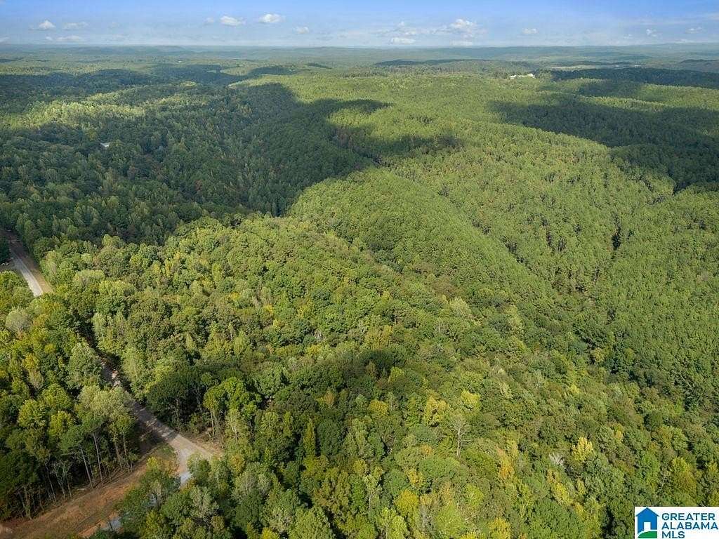 3.22 Acres of Residential Land for Sale in Cordova, Alabama