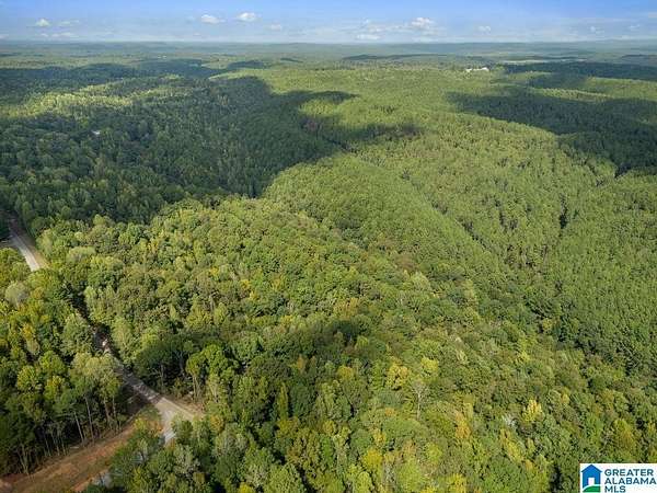 3.22 Acres of Residential Land for Sale in Cordova, Alabama