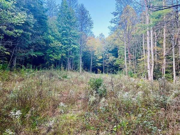 73 Acres of Recreational Land for Sale in Murphy, North Carolina