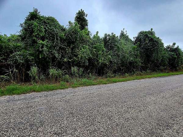 0.22 Acres of Residential Land for Sale in Bastrop, Texas