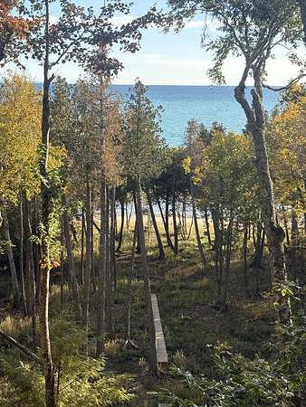 2.8 Acres of Residential Land for Sale in Moran, Michigan
