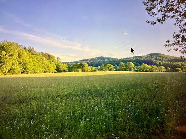40 Acres of Land for Sale in Monticello, Kentucky