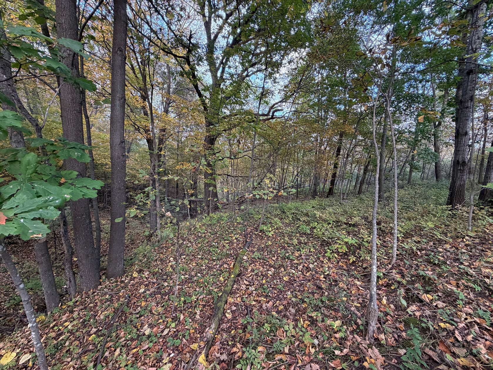4.5 Acres of Land for Sale in Viola, Wisconsin