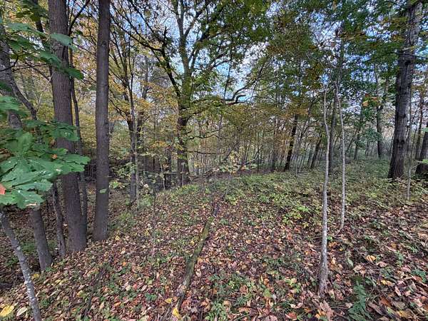 4.5 Acres of Land for Sale in Viola, Wisconsin