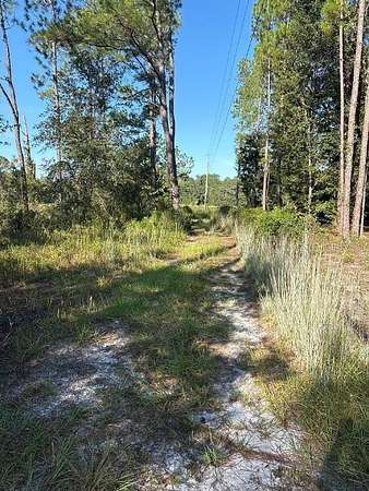 1.25 Acres of Residential Land for Sale in Bronson, Florida