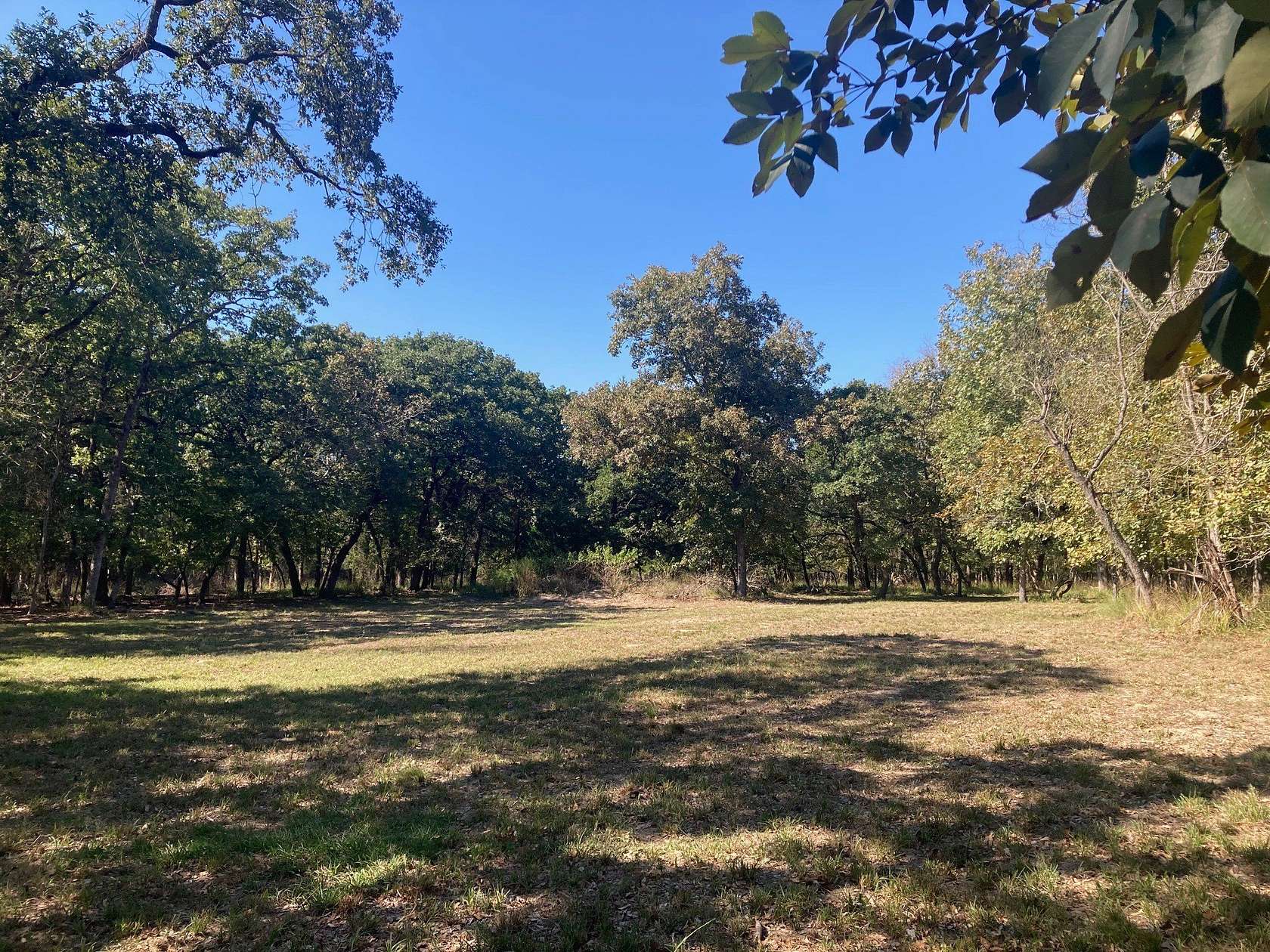 2 Acres of Residential Land for Sale in LaRue, Texas