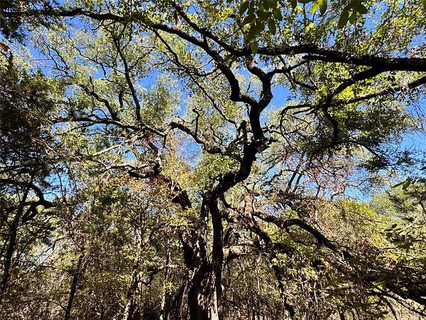 10 Acres of Land for Sale in Granbury, Texas