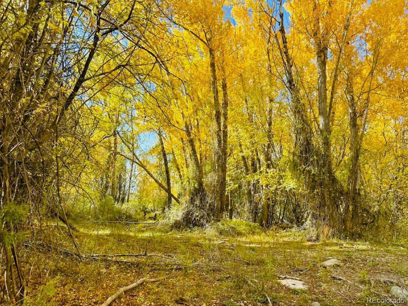 1.1 Acres of Residential Land for Sale in Mosca, Colorado