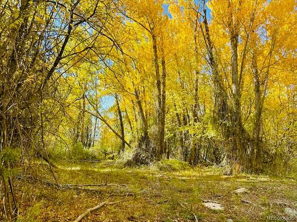 1.1 Acres of Residential Land for Sale in Mosca, Colorado