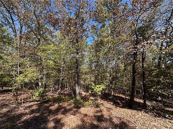 0.21 Acres of Residential Land for Sale in Hot Springs Village, Arkansas