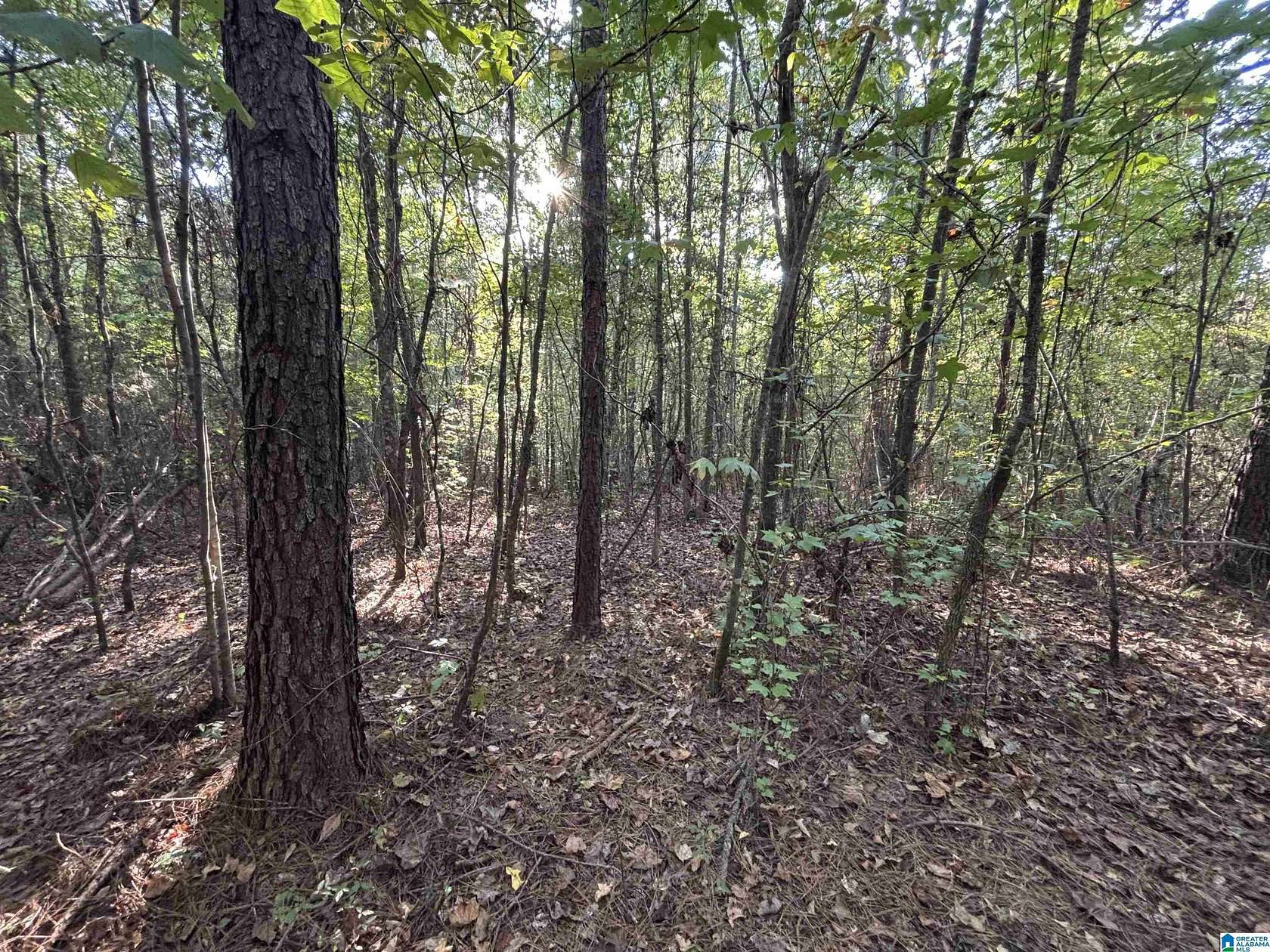 14.3 Acres of Recreational & Residential Land for Sale in Ashville, Alabama