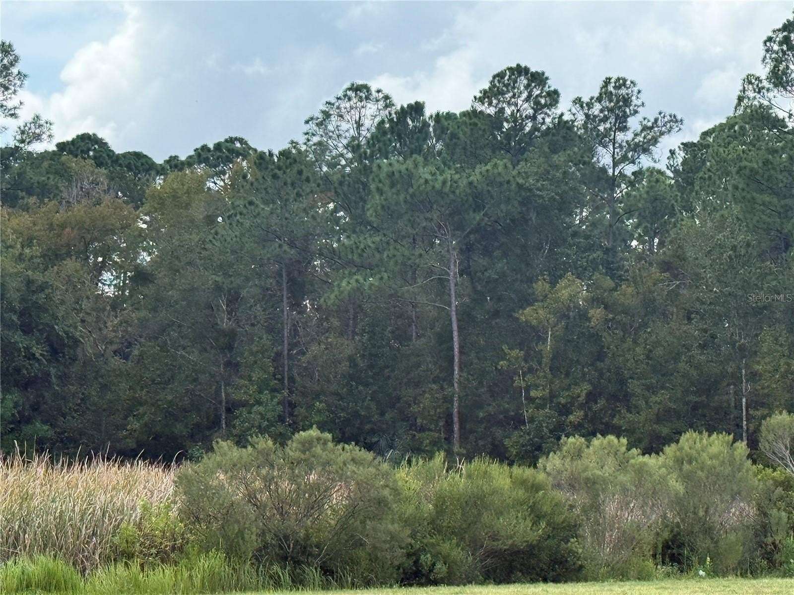 0.3 Acres of Residential Land for Sale in Homosassa, Florida