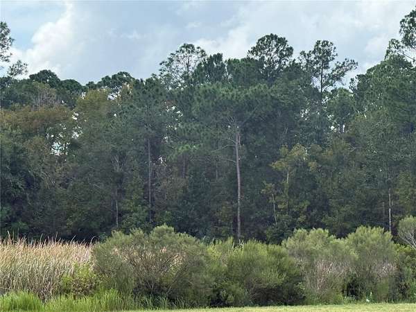 0.3 Acres of Residential Land for Sale in Homosassa, Florida