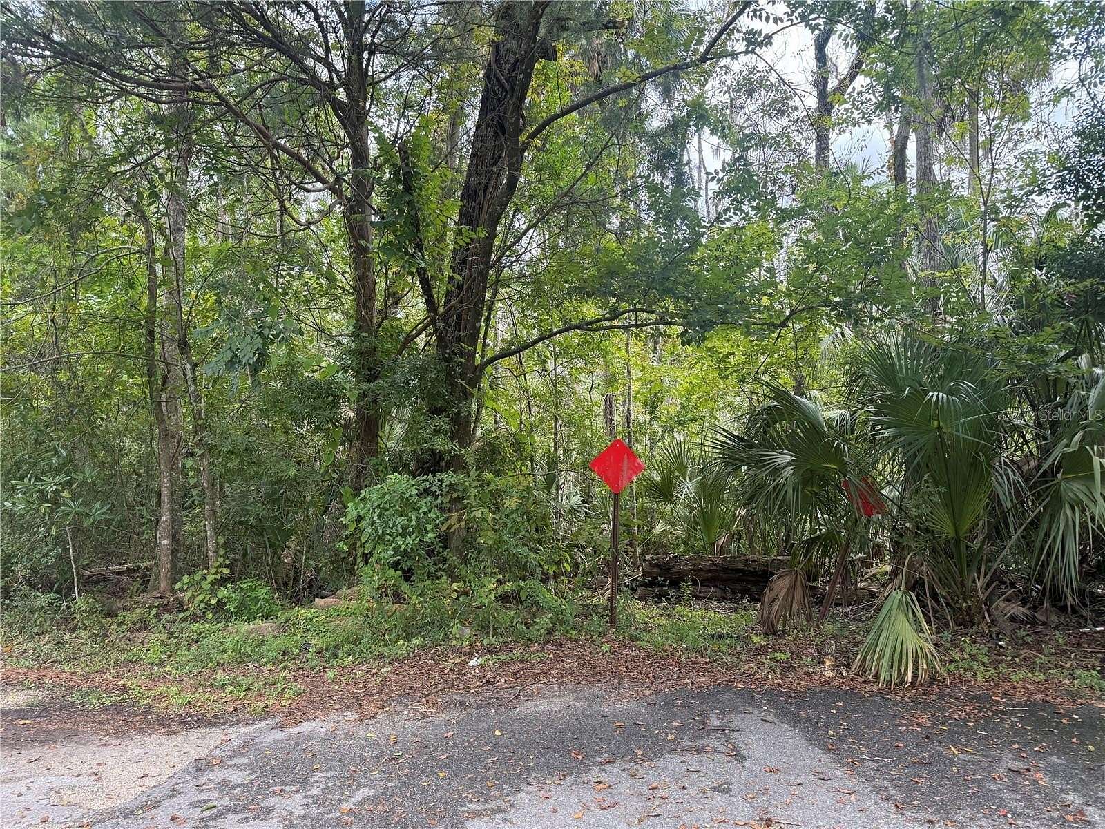 0.3 Acres of Residential Land for Sale in Homosassa, Florida