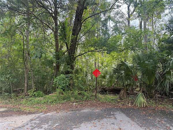0.3 Acres of Residential Land for Sale in Homosassa, Florida