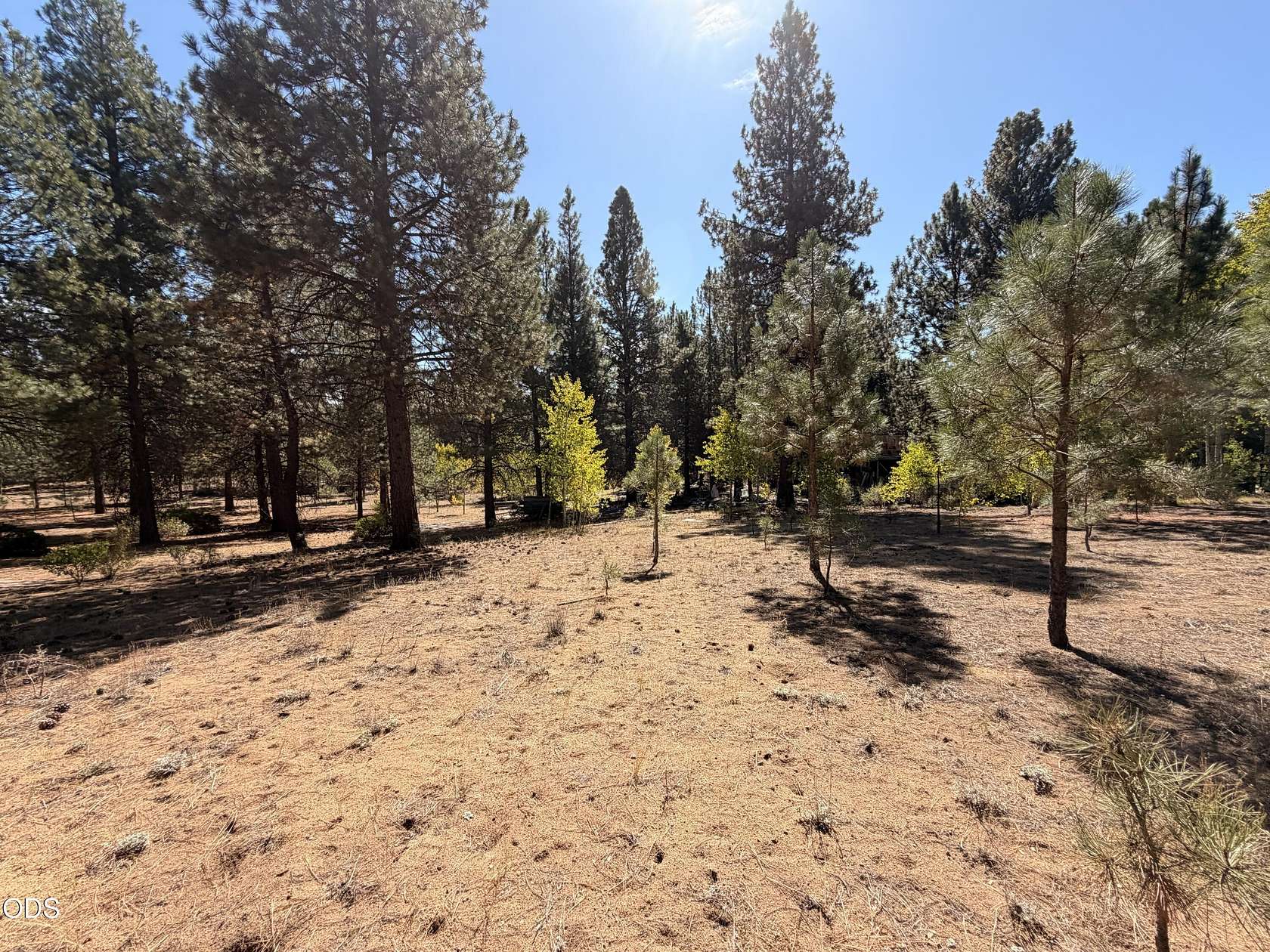 5.47 Acres of Residential Land for Sale in Chiloquin, Oregon