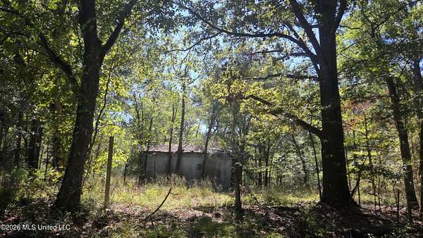 13 Acres of Land for Sale in Edwards, Mississippi