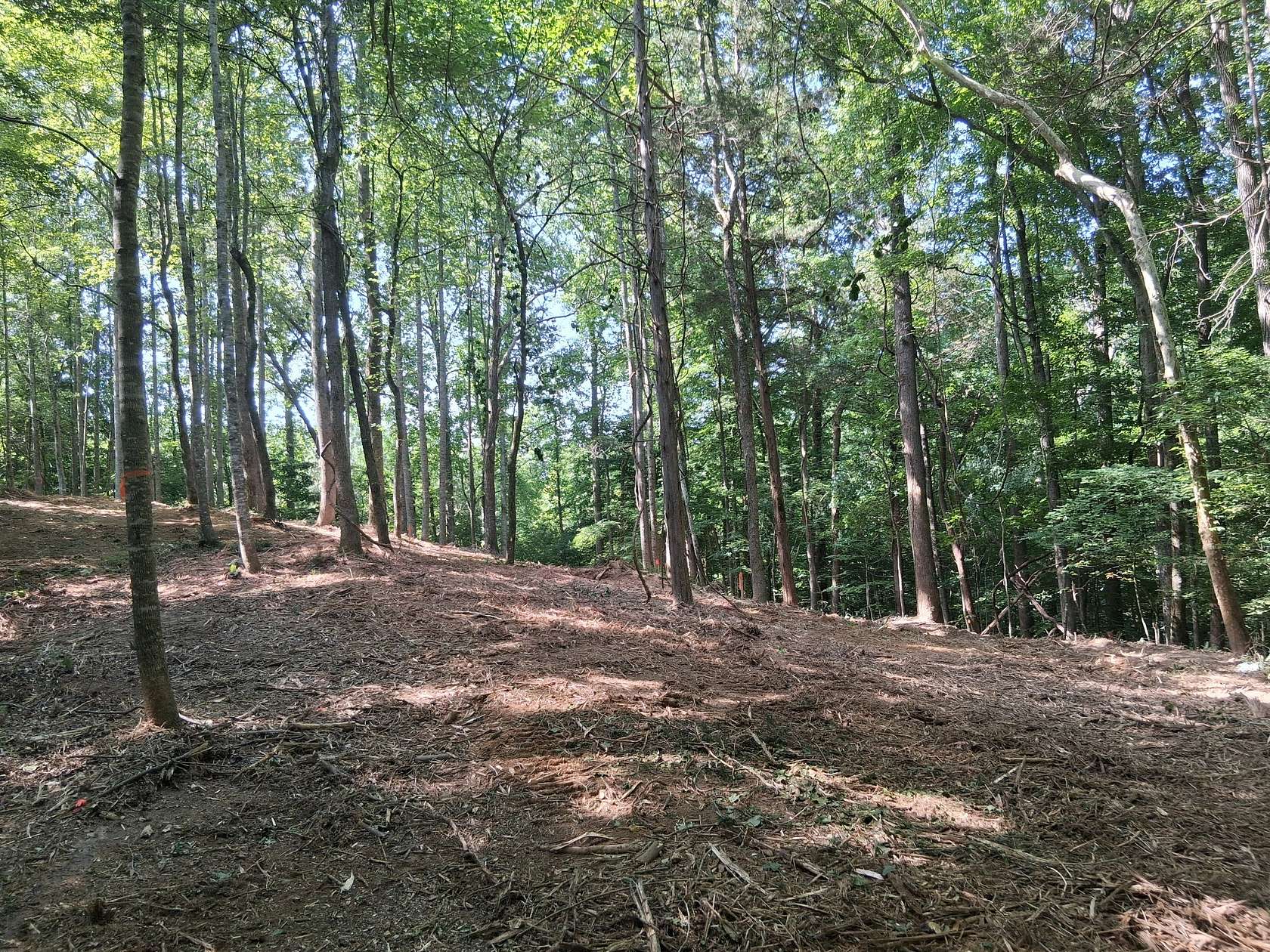 0.71 Acres of Residential Land for Sale in Smithville, Tennessee