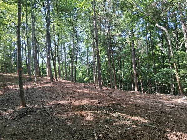 0.71 Acres of Residential Land for Sale in Smithville, Tennessee