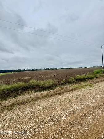 16.5 Acres of Land for Sale in Duson, Louisiana