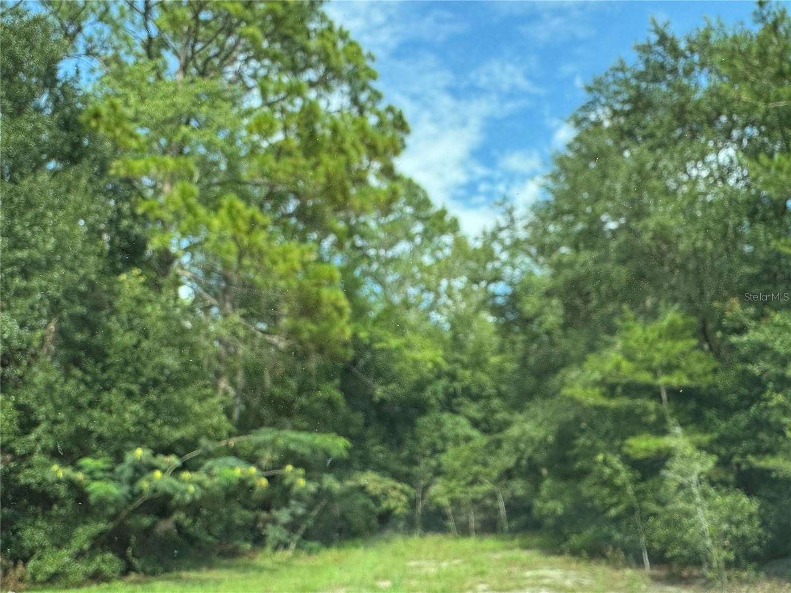 0.24 Acres of Residential Land for Sale in Fort McCoy, Florida