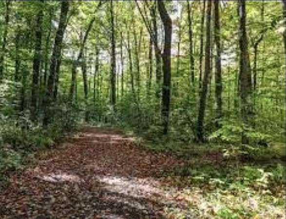 2.7 Acres of Land for Sale in Leitchfield, Kentucky