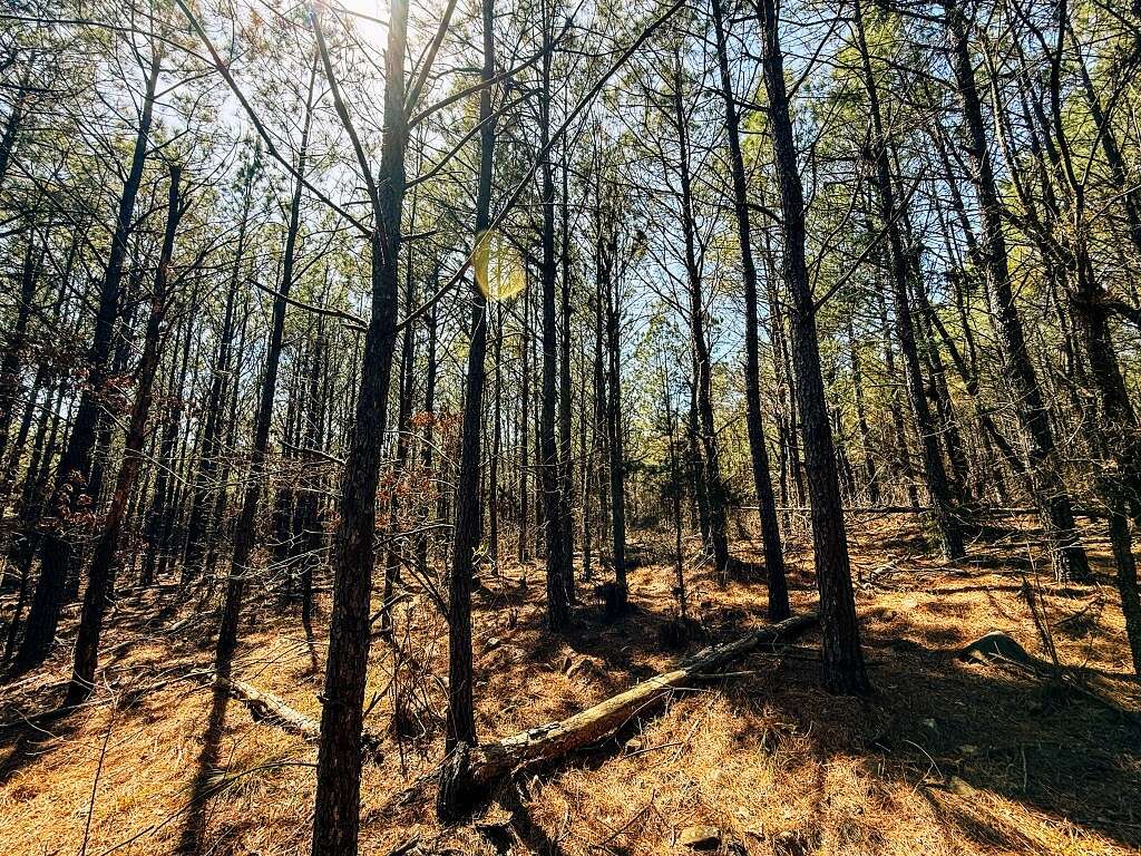 42 Acres of Recreational Land for Sale in Snow, Oklahoma
