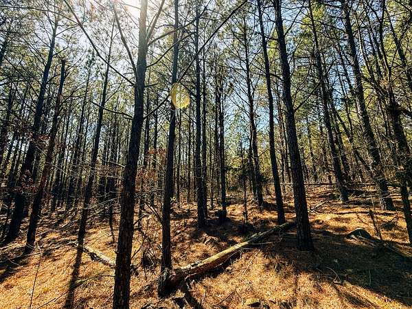 42 Acres of Recreational Land for Sale in Snow, Oklahoma
