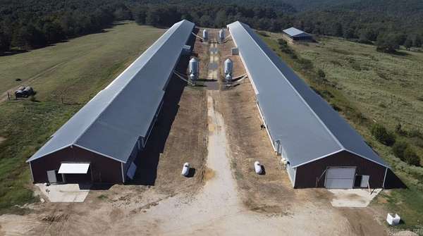 20 Acres of Improved Land for Sale in Fox, Arkansas