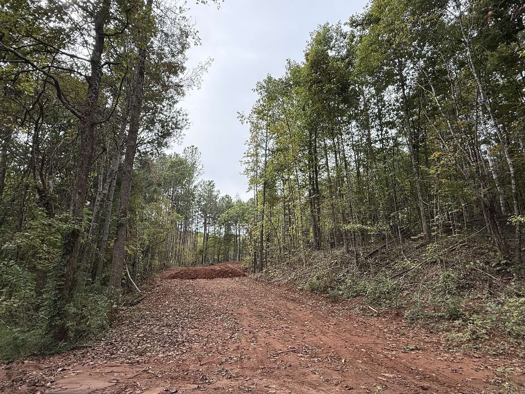 5.1 Acres of Residential Land for Sale in Calhoun, Tennessee