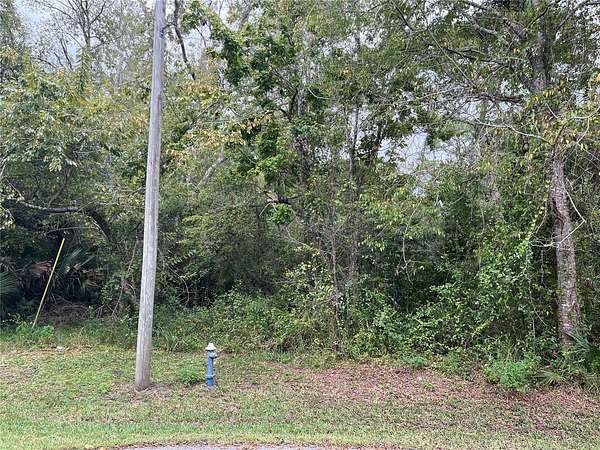 0.26 Acres of Residential Land for Sale in Palm Coast, Florida