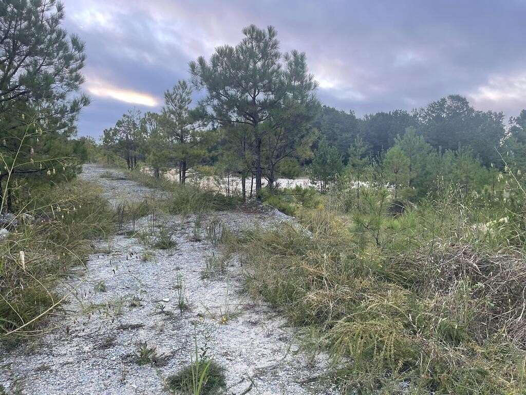 22 Acres of Land for Sale in Columbus, Georgia