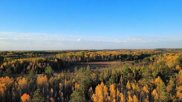 40 Acres of Recreational Land for Sale in Tower, Minnesota