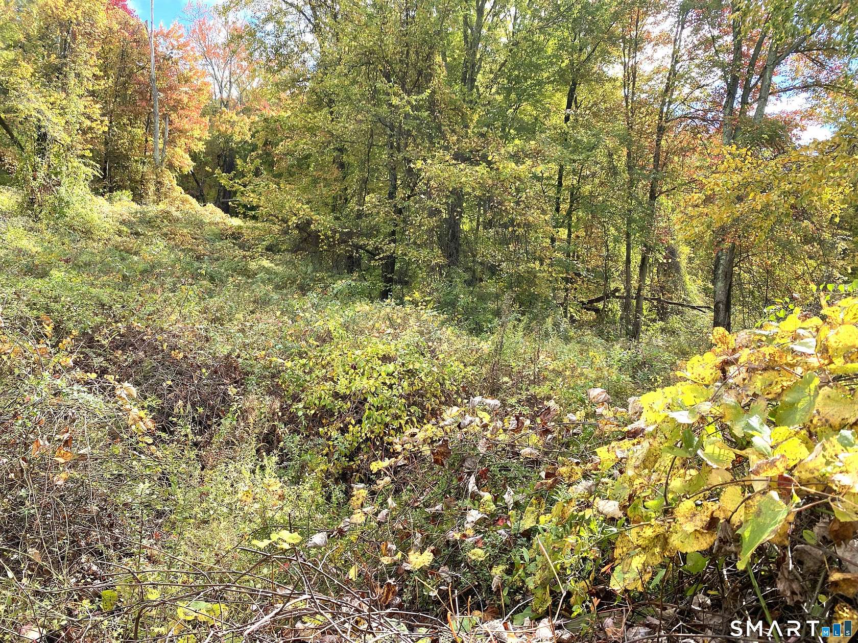 14.5 Acres of Land for Sale in Roxbury, Connecticut