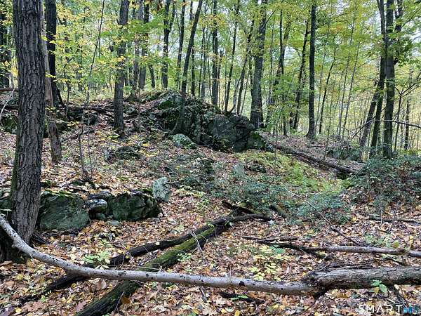 11 Acres of Land for Sale in Roxbury Town, Connecticut