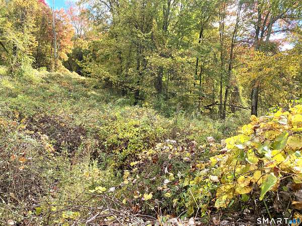 14.5 Acres of Land for Sale in Roxbury, Connecticut