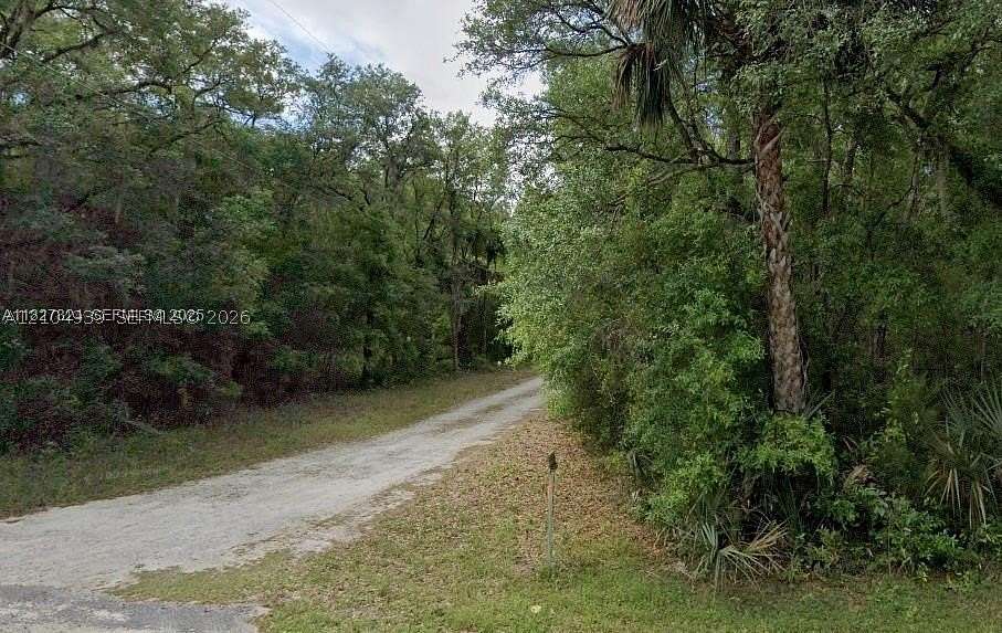 0.23 Acres of Residential Land for Sale in Fort McCoy, Florida