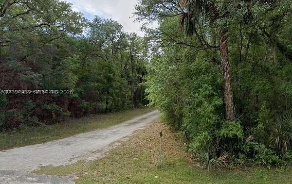0.23 Acres of Residential Land for Sale in Fort McCoy, Florida