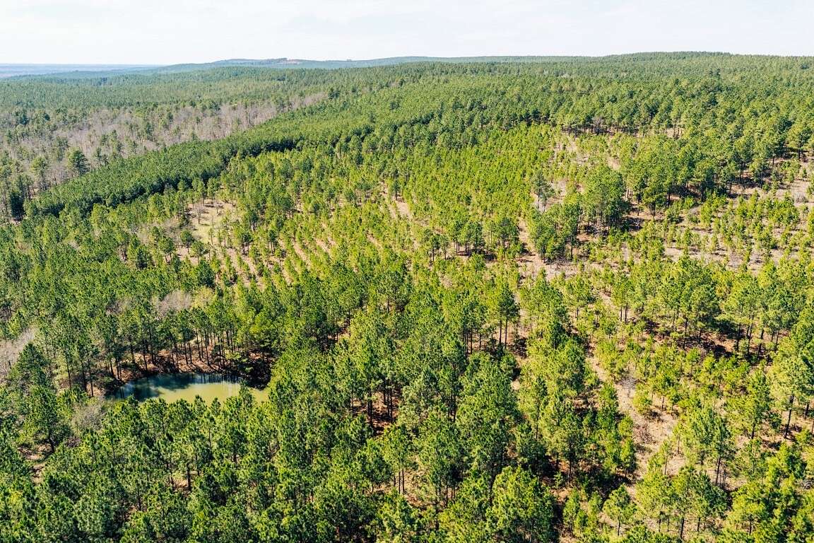 21 Acres of Recreational Land for Sale in Rattan, Oklahoma