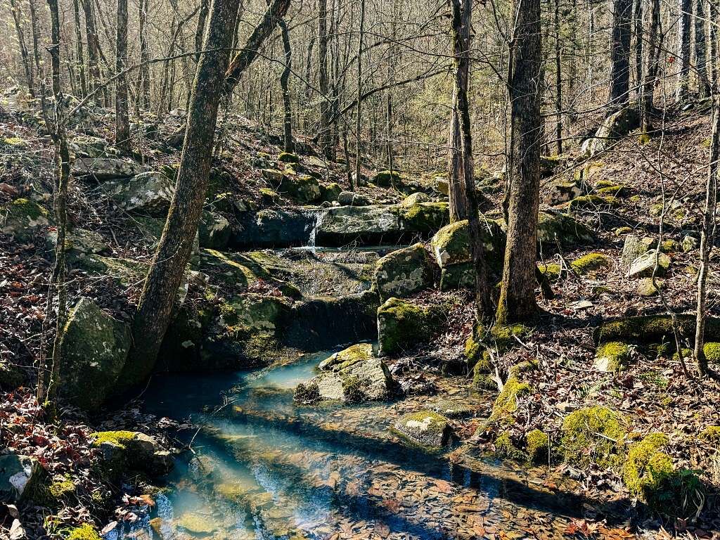 88 Acres of Recreational Land for Sale in Kiamichi, Oklahoma