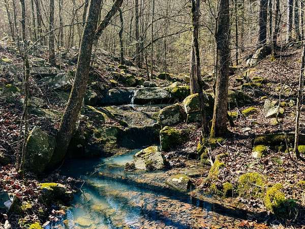 88 Acres of Recreational Land for Sale in Kiamichi, Oklahoma
